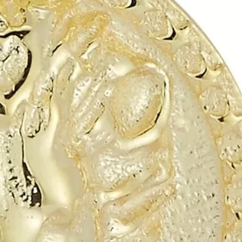 Sterling Silver 3D Lion Head Medallion Necklace