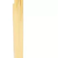 Jaclyn Smith Classic Gold Hoop Earrings Set of 3