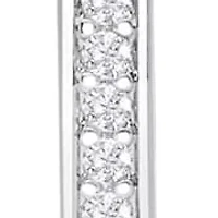 Lab Created 1/4 Carat Sparkling Moissanite Hoop Earrings