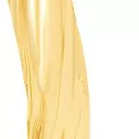 Jaclyn Smith Split Hoop Earrings In Gold