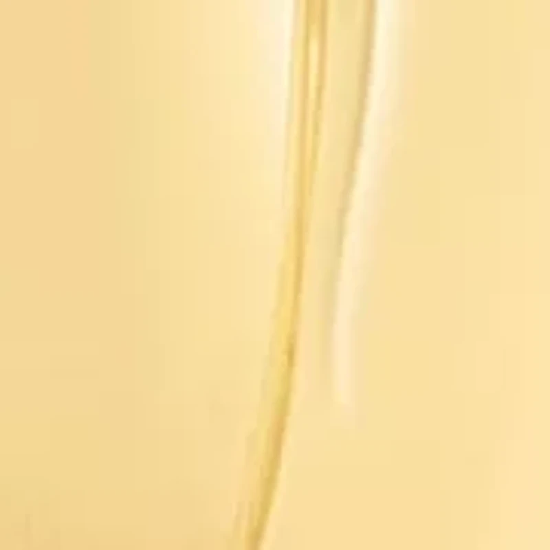 Jaclyn Smith Retro Hoop Earrings In Gold