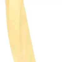 Jaclyn Smith Classic Hoop Earrings In Gold