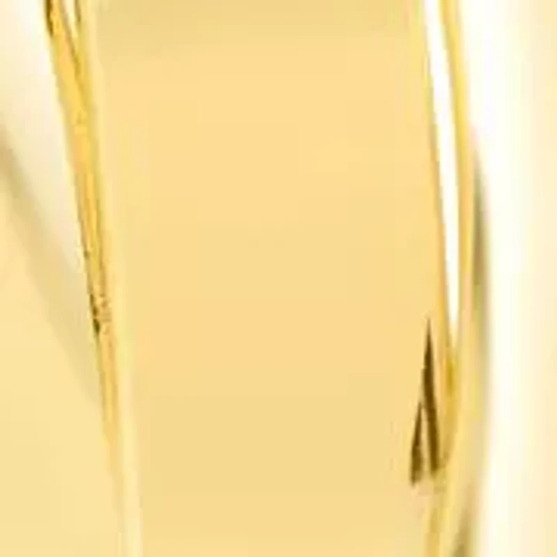 Jaclyn Smith Thick Hoop Earrings In Gold