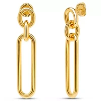 Martha Stewart Elegant Gold Dangle Earrings