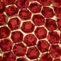 Birthstone Goldtone Heart Charm Bracelet