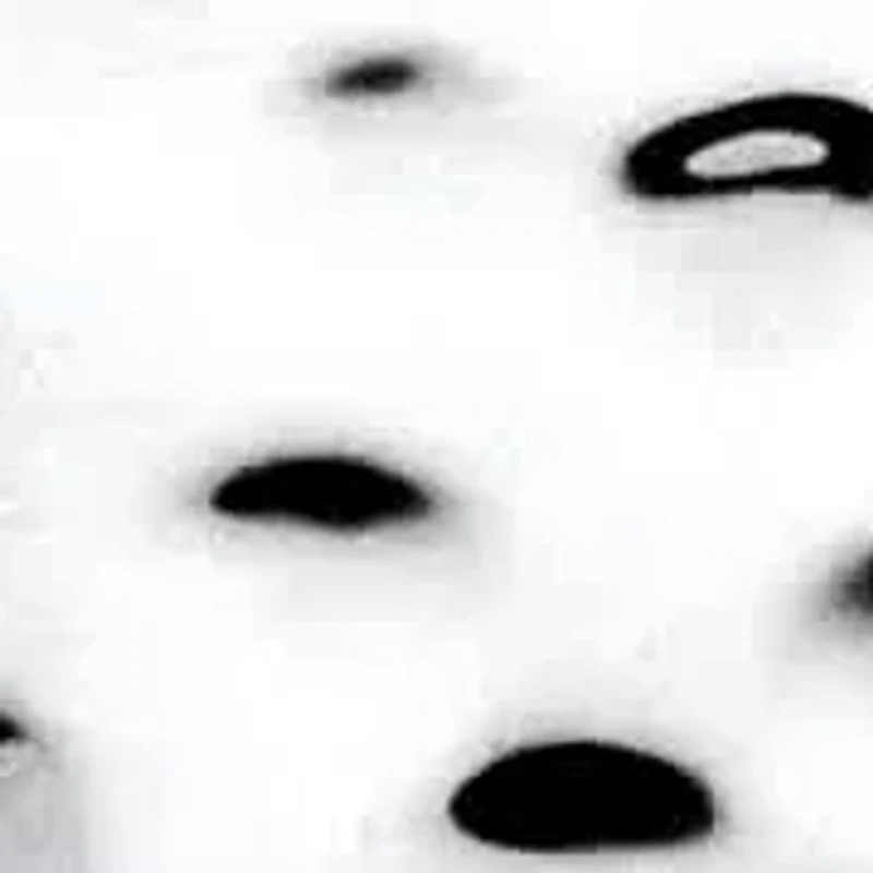 Silvertone Hammered Wide Band Ring 11 mm