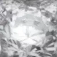 6.76 TCW Round Cubic Zirconia Pave .925 Sterling Silver Dome Ring