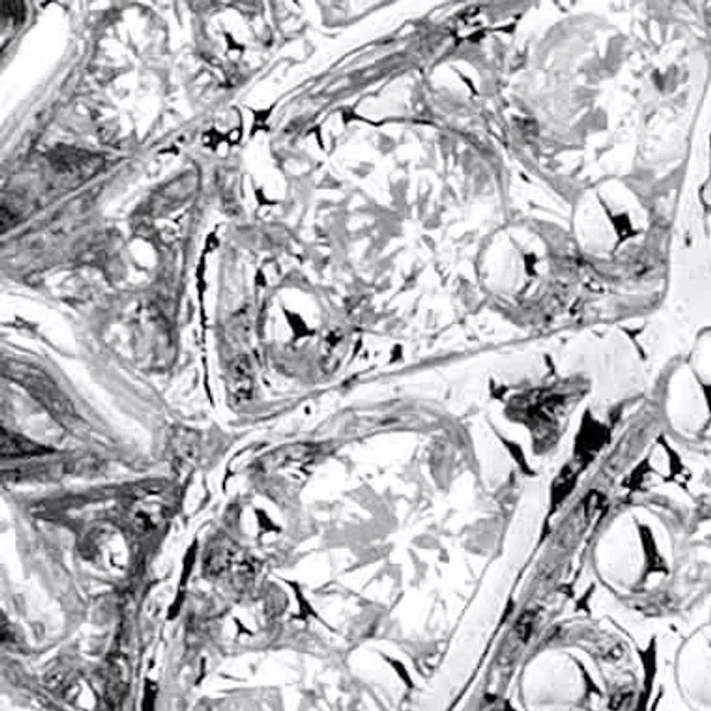 1.07 Cttw. Platinum-Plated Pear-Cut Cubic Zirconia Butterfly Wraparound Ring