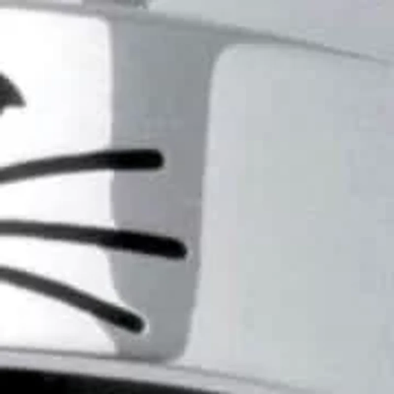 Cat Lady Spinner Ring Black IP Stainless Steel