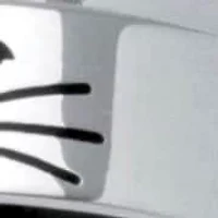 Cat Lady Spinner Ring Black IP Stainless Steel