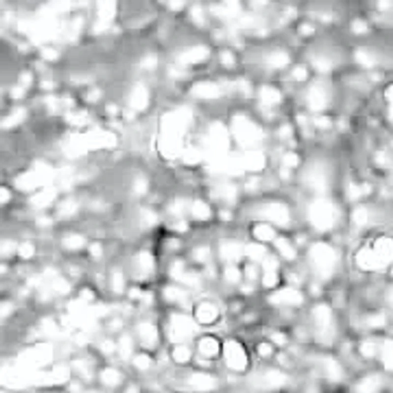 .77 TCW Round Cubic Zirconia Silvertone Panther Cocktail Ring