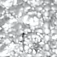 .77 TCW Round Cubic Zirconia Silvertone Panther Cocktail Ring