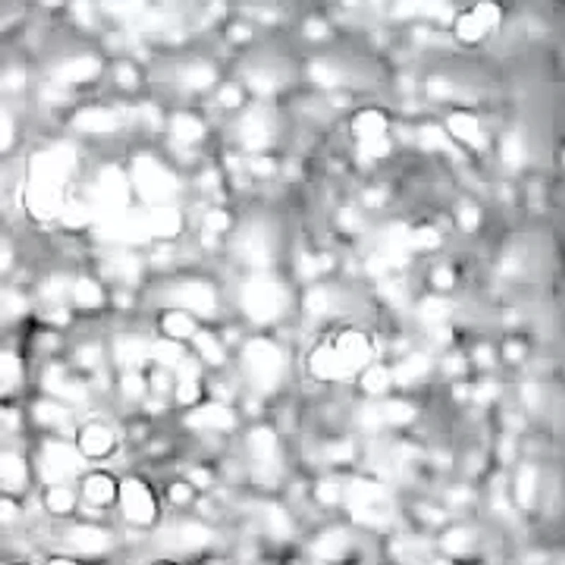 .77 TCW Round Cubic Zirconia Silvertone Panther Cocktail Ring