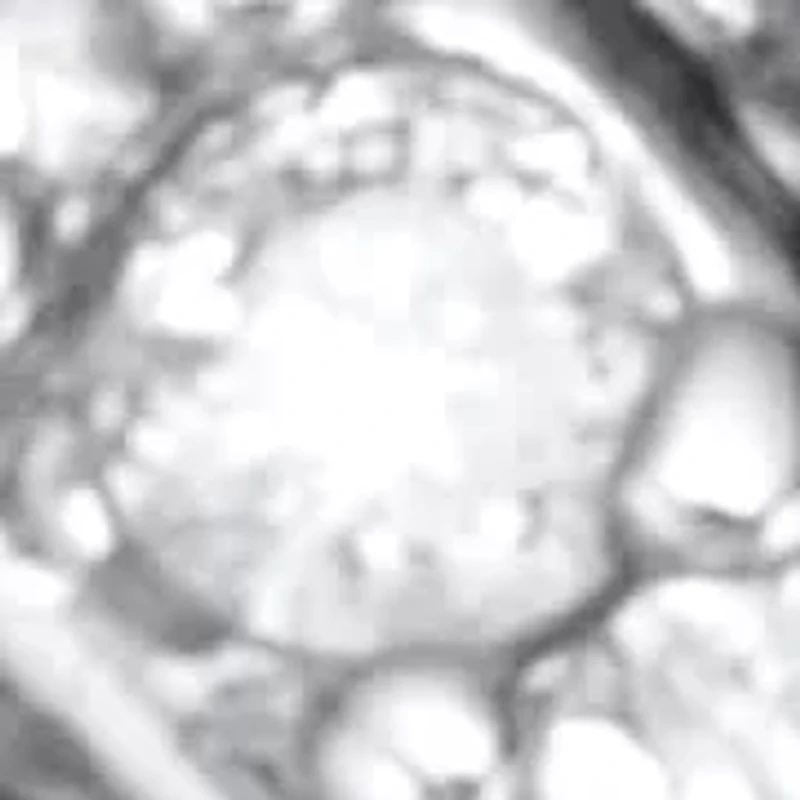 .27 TCW Round Cubic Zirconia Platinum-plated Puzzle Ring