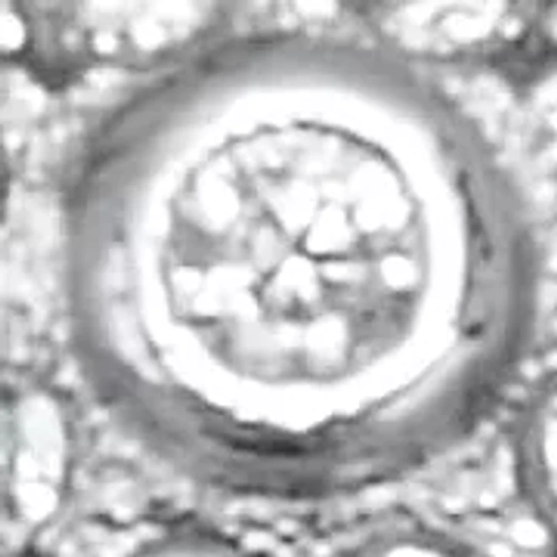 0.46 TCW Round Cubic Zirconia Sterling Silver Butterfly Ring
