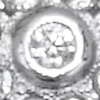 0.46 TCW Round Cubic Zirconia Sterling Silver Butterfly Ring