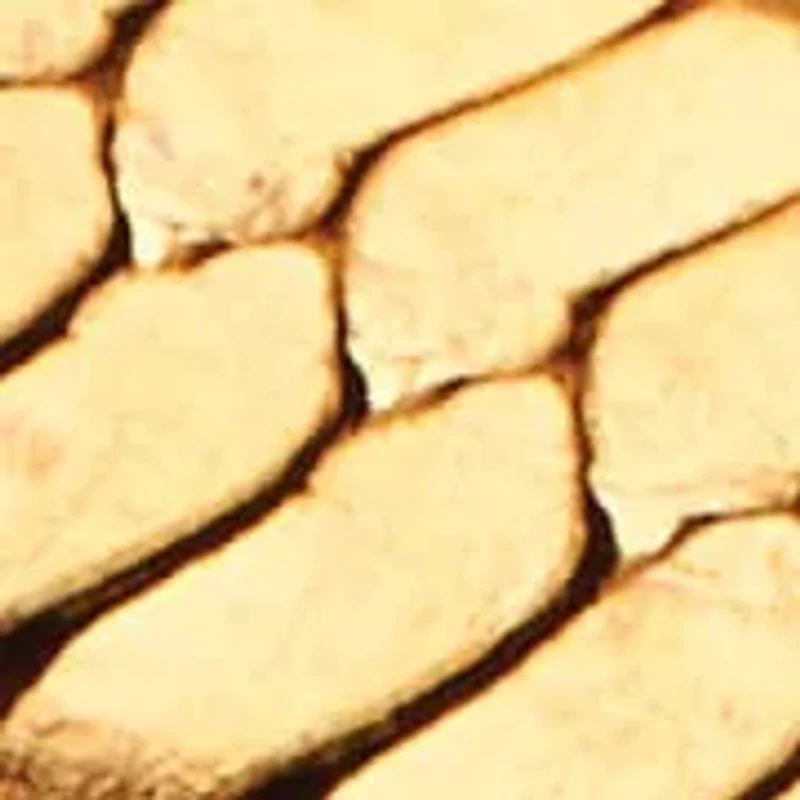 Goldtone Herringbone Chain Necklace 18-20.5 inch