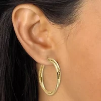 Rose Ion-Plated and Gold Ion-Plated Stainless Steel Hoop Earrings Set