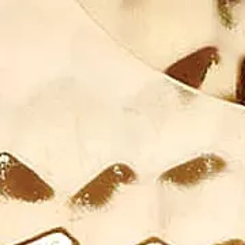 2 Pair Hammered-Style Hoop Earrings Set in Yellow Goldtone and Silvertone