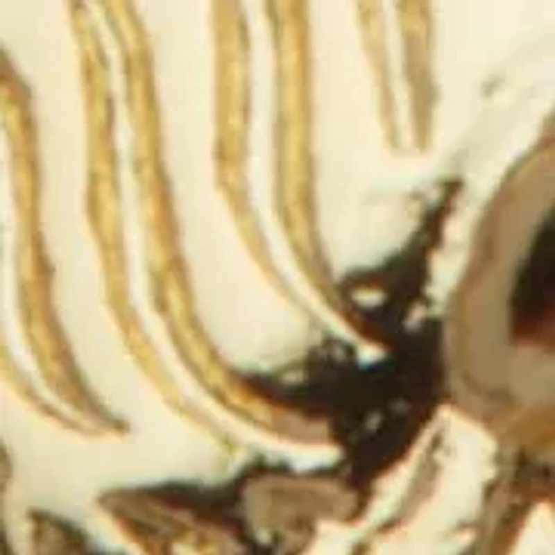 Crystal Coin Pendant Gold Ion-Plated Stainless Steel Necklace, 17 Inches