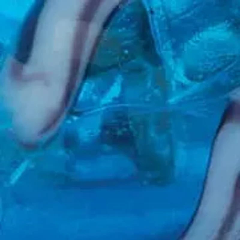 Blue Crystal Silver Tone Antiqued Bali Style Beaded Coastal Charm Bracelet 7"