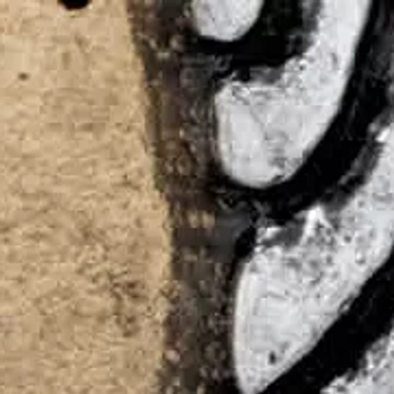 Hammered Coin Tri-Tone Inspirational Stretch Bracelet 7"