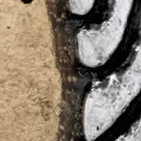 Hammered Coin Tri-Tone Inspirational Stretch Bracelet 7"