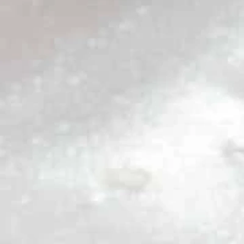 Round Crystal Gold Ion-Plated Stainless Steel Heart Charm Bracelet Set 7-inch