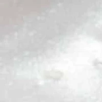 Round Crystal Gold Ion-Plated Stainless Steel Heart Charm Bracelet Set 7-inch