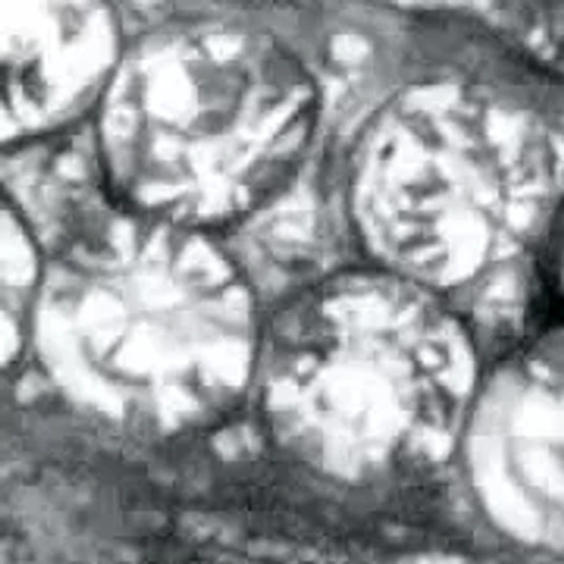 Round White Crystal Butterfly Pin Silvertone 2 1/2" Length