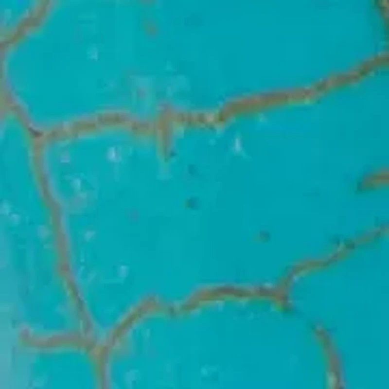 Crystal Silvertone Beach Themed Corded Fringe Necklace 19"-20.5"