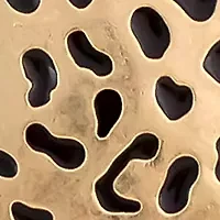 Gold Tone Leopard Print Metal Teardrop Pendant Necklace on Chain