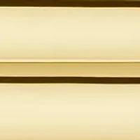 Gold Tone Case Stainless Steel Watch