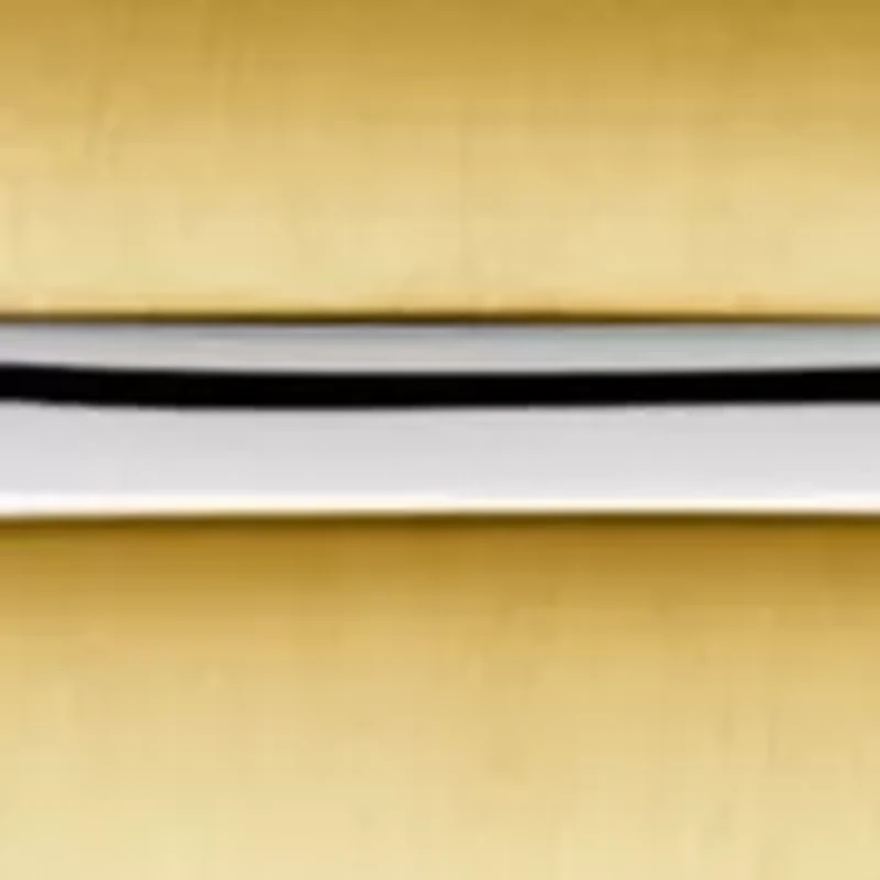 Stainless Steel Two Tone Blue Dial Watch