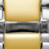 Ladies 2-Tone Analog Watch