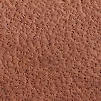 Elliot Leather Strap Watch