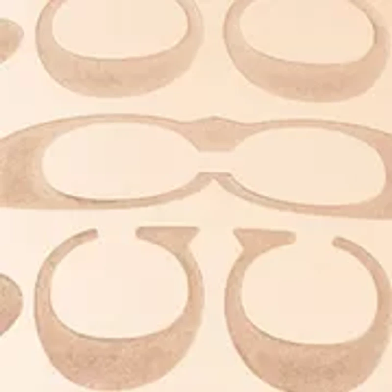 Sammy Stainless Steel Bangle Watch