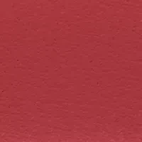 Elliot Red Leather Strap Watch