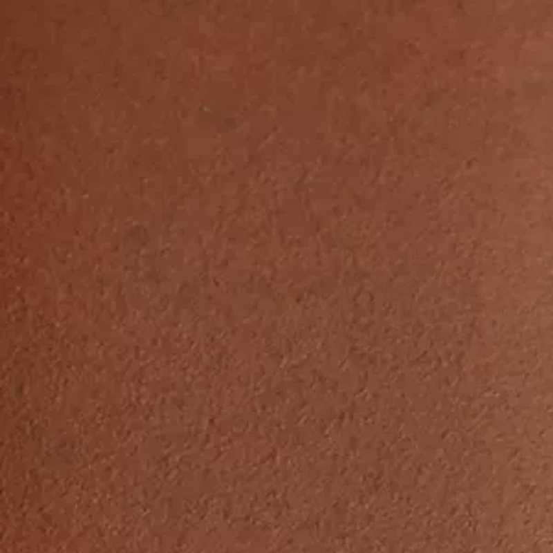 Neutra Chronograph Amber Leather Watch