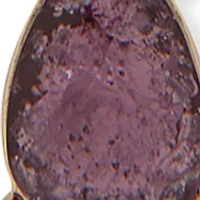 Flower Motif Frontal Necklace and Earring Set