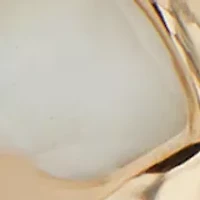  Stone Pearl Stretch Bracelet