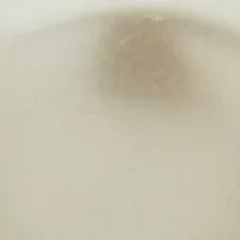 Crystal White Bead Linear Earrings