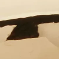 Puffed Dome Huggie Clip Earrings