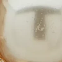 Pearl Floral Button Comfort Clip Earrings