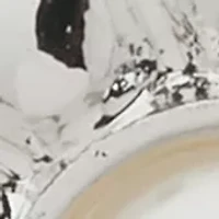 Flower Button Clip Earrings