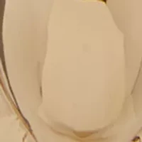 Puffed Dome Link Hoop Earrings