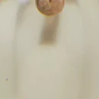 Shaky Pearl Chandelier Earrings