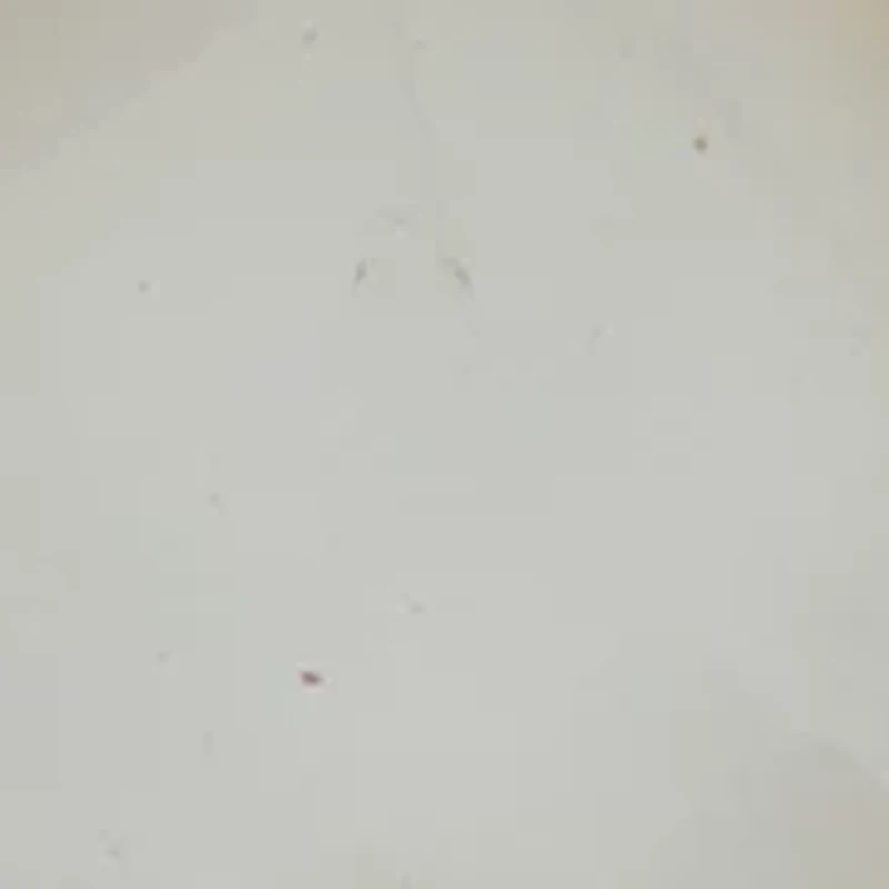  Stone Pearl Link Drop Earrings