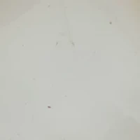  Stone Pearl Link Drop Earrings