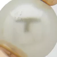 Pearl Pendant Toggle Necklace